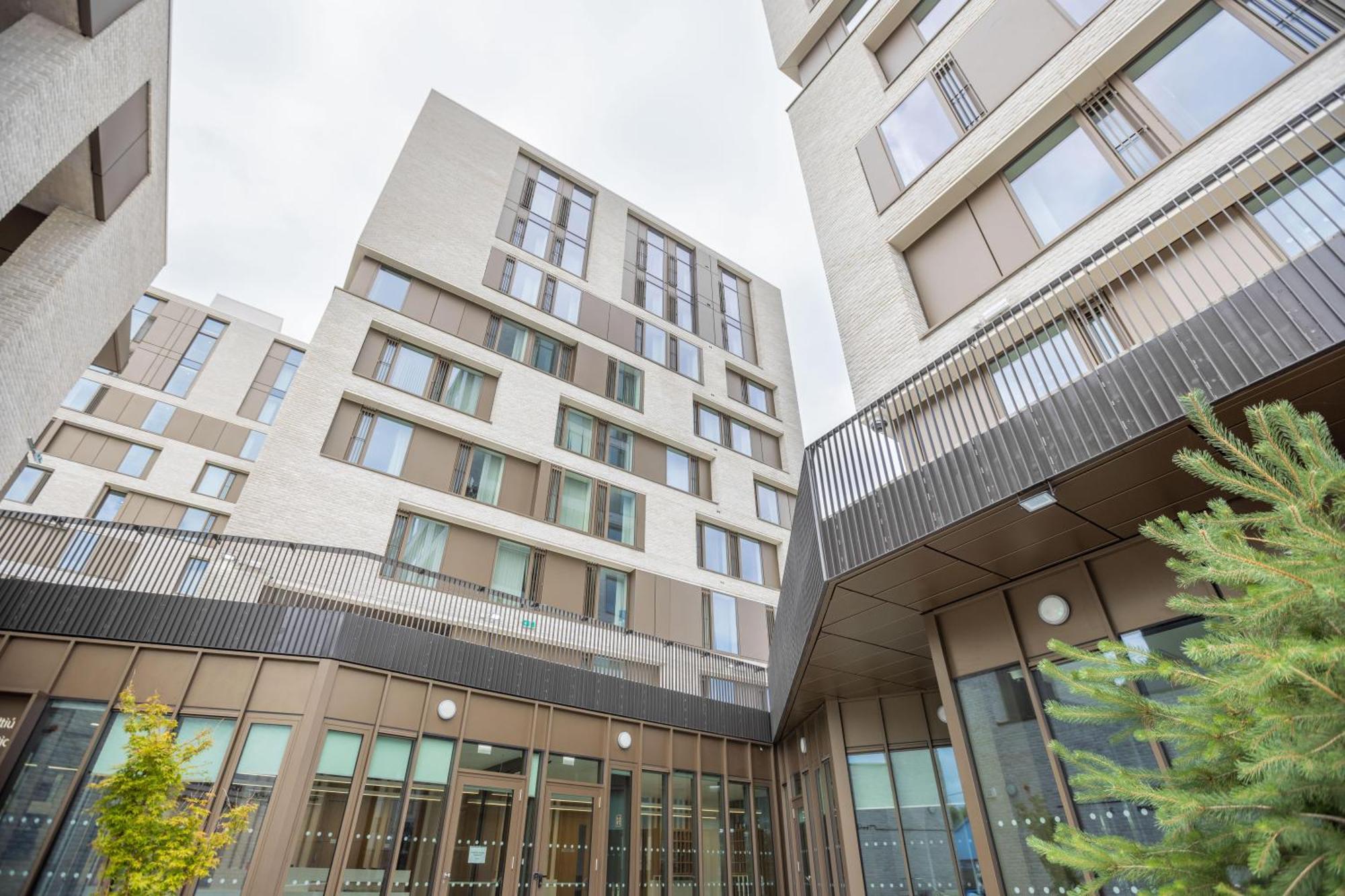 Crow'S Nest - Ucc Summer Beds Cork Exterior foto